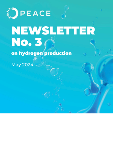 PEACE Newsletter No.3 is out